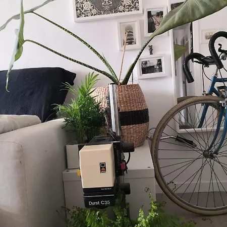 My Quiet House 홈스테이 말라가