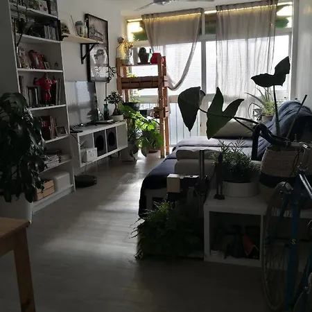 Homestay My Quiet House *