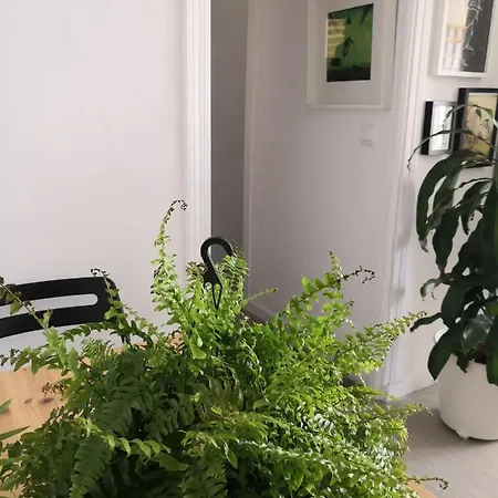 My Quiet House Homestay