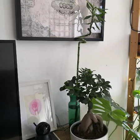 My Quiet House