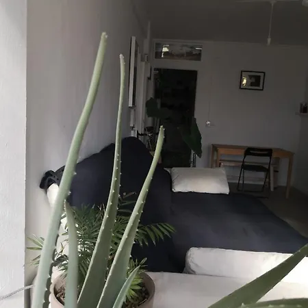 Homestay My Quiet House *